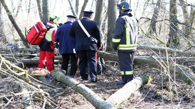 Ucciso dall’albero che sta tagliando