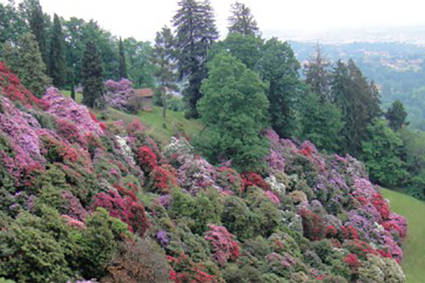 Ecco il nuovo Parco… “di quadrante”