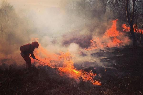 Piromani in azione, brucia la Baraggia