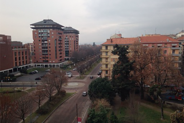 Tutti pazzi per la ruota panoramica