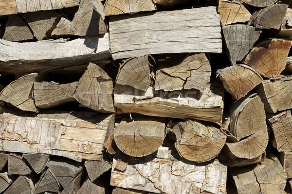 Feroce litigio tra vicine per… degli alberi