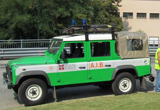 Incendi di bosco spenti in una notte