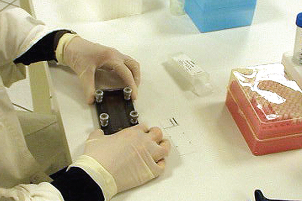 Laboratorio analisi, 300 tamponi al giorno