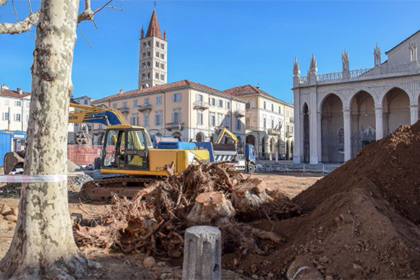 Piazza Duomo, via altri sei platani