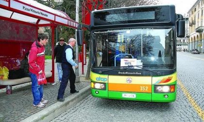 Biella, aumentano i passeggeri del bus urbano