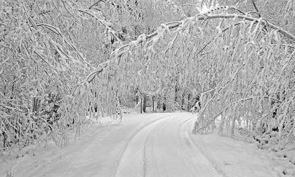 In valle tanta neve sugli alberi, che si piegano sulle strade