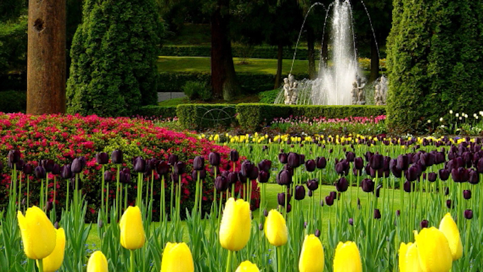 A Pralormo “Il linguaggio dei fiori”