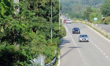 Finisce in un prato con l'auto