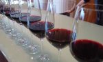 Sei milioni dalla Regione per vino e vigneti: bando aperto fino al 29 aprile