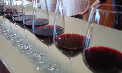 Il vino piemontese piace sempre di più… soprattutto agli stranieri