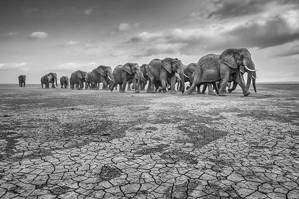 Natura, speranza contro pessimismo»