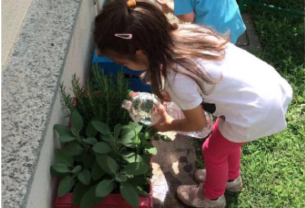 A Cavaglià due orticelli coltivati da 82 bimbi