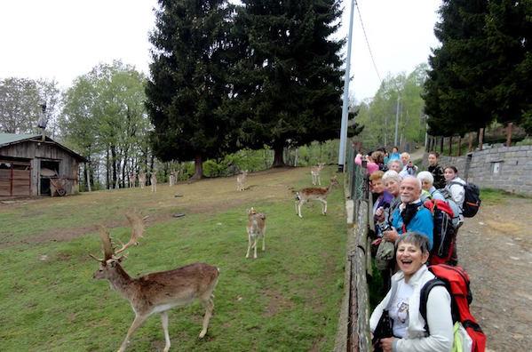 Estate, tempo di escursioni in montagna con il Casb