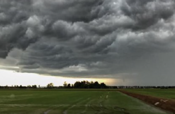 Maltempo, l’SOS di Coldiretti Vercelli-Biella: “Agricoltura in difficoltà”