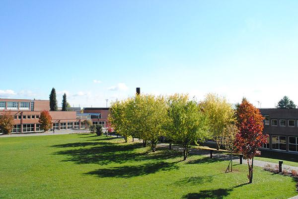 Università, meno posti per Medicina e Architettura