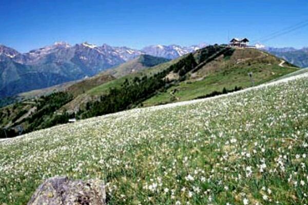 Orti e paesaggio, a vedere cose belle