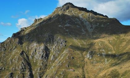 Pecore morte, ma non si sa perché