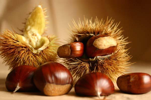 A Vaglio Pettinengo la “regina” delle sagre della castagna