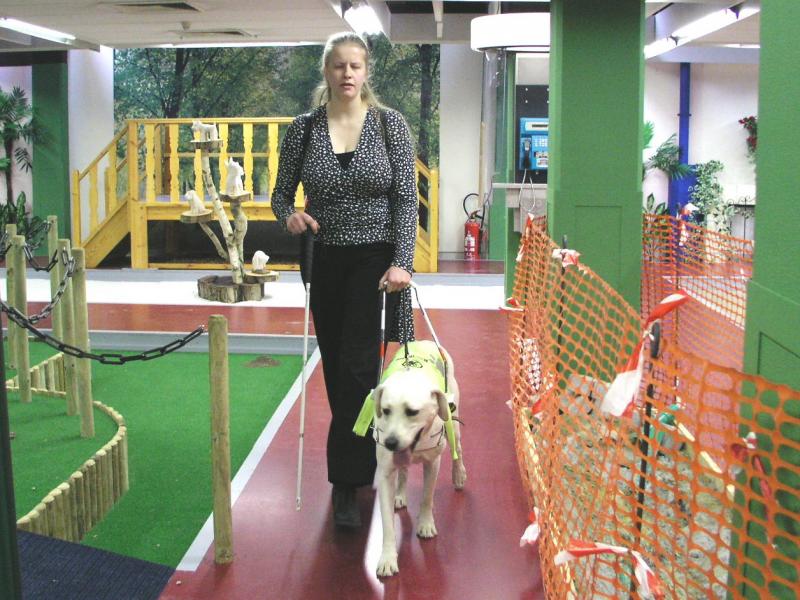 Nessun regolamento comunale può vietare l’accesso nei locali pubblici ai cani guida per ciechi