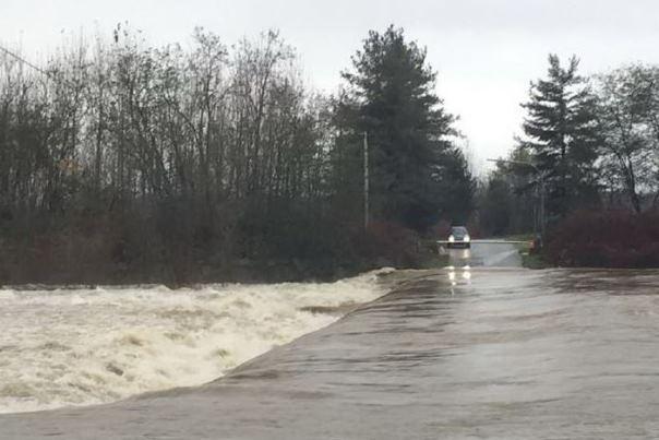 Maltempo, alberi caduti in mezza provincia