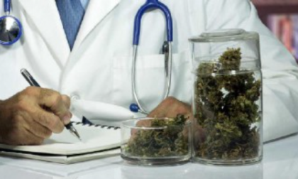 Cannabis terapeutica in tutte le farmacie