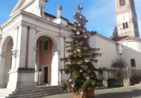 Regis: “Disposto a pagare illuminazione albero di Natale alla città”