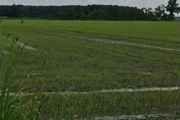 Pesticidi in acqua, alte concentrazioni