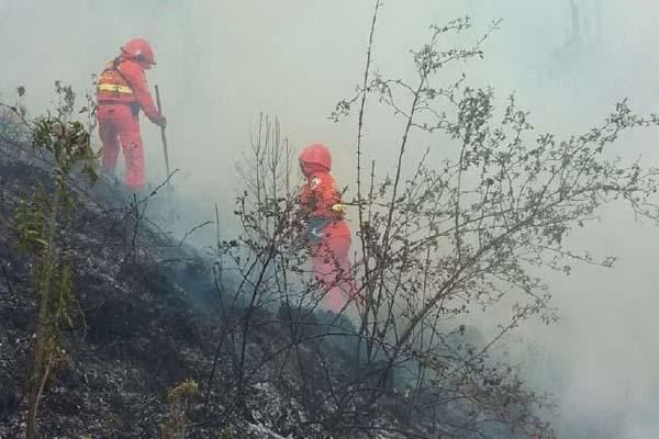 Ancora incendi al Tracciolino e in Baraggia