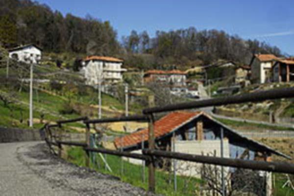 Elezioni amministrative, Vallanzengo punta di nuovo su Michela