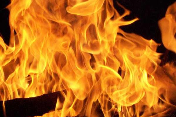 Bosco in fiamme a Zimone