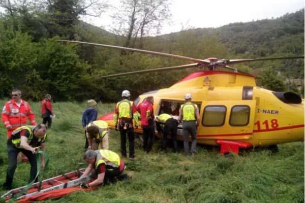 Incornato dalla mucca, grave margaro