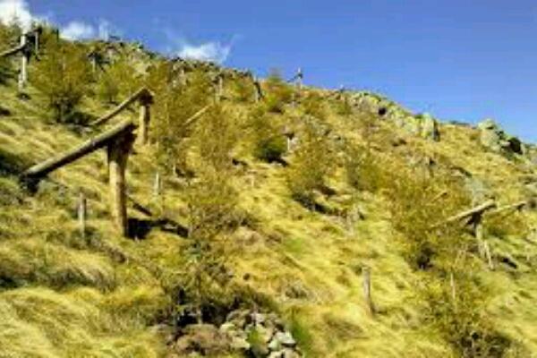 Radici e ali. A Trivero e nel mondo il welfare Zegna