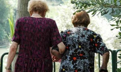 Il Comune di Biella organizza il pranzo di Ferragosto per gli anziani
