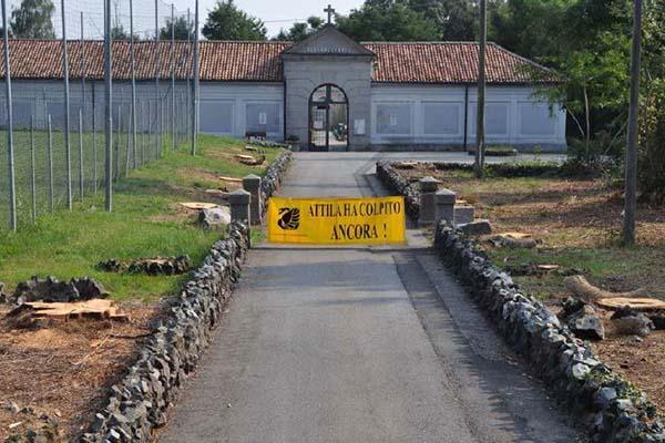 Vandorno, “spariscono” 45 alberi
