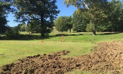 I cinghiali devastano il golf. Protesta all’arma bianca