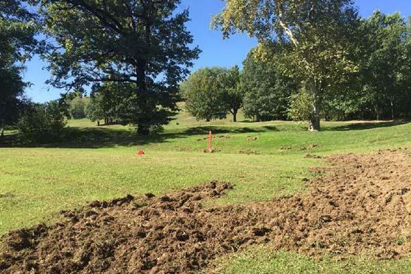 I cinghiali devastano il golf. Protesta all’arma bianca