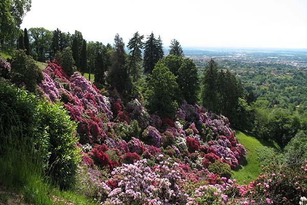 La Burcina torna a splendere e sogna l'Unesco - Prima Biella