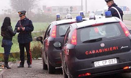 Facevano sesso nel bosco: due multati