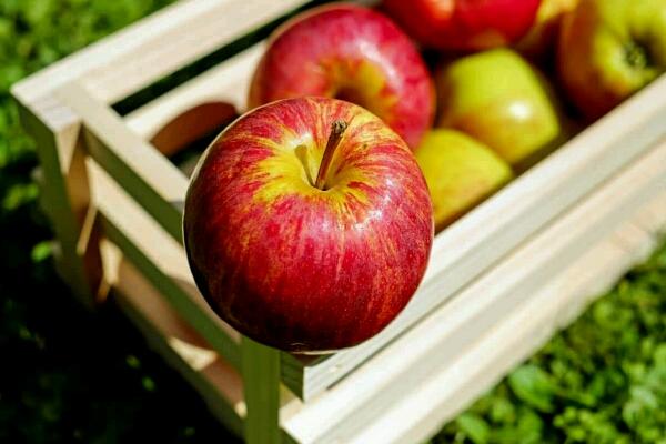 A Occhieppo Inferiore nel weekend “Melamangio & Melabevo”