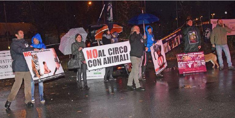 Animalisti contro il circo: «Vergogna!»