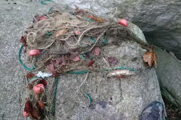 Bracconieri piazzano una rete nel Cervo