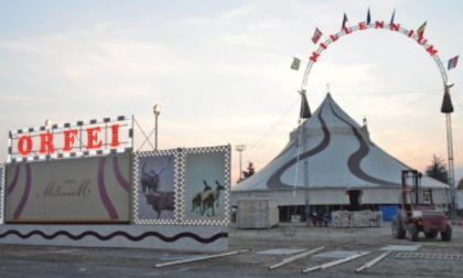«Il Comune limiti il circo che sfrutta gli animali»