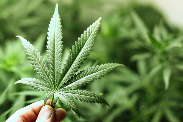 Scende dal treno dopo il rifornimento di droga