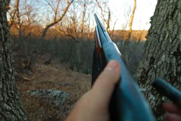 Arma sparita e munizioni illegali, coppia di Mezzana denunciata