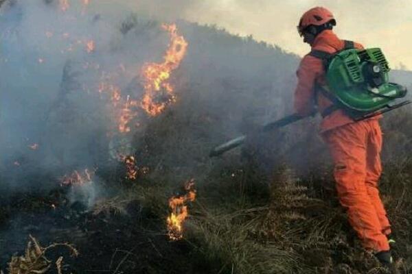 Piromani appiccano due incendi