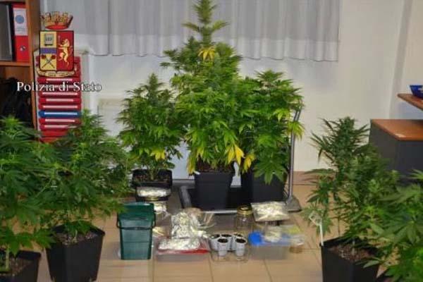 Vicini col pollice verde… per la marijuana