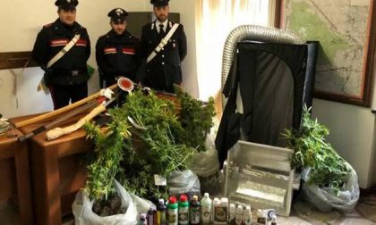 Marijuana coltivata nel bagno di casa