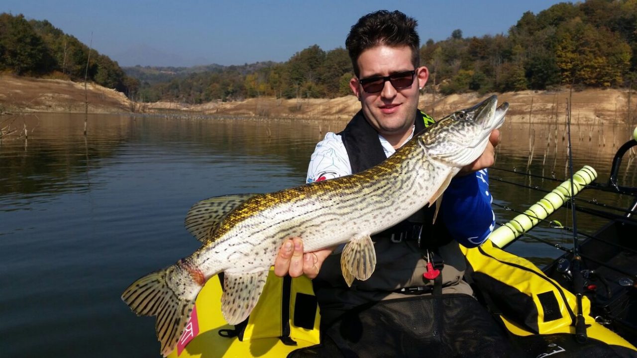 Fra trote “pronto pesca” e nobili lucci italici a Masserano