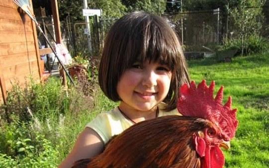 Patteggia per la morte della piccola Giulia