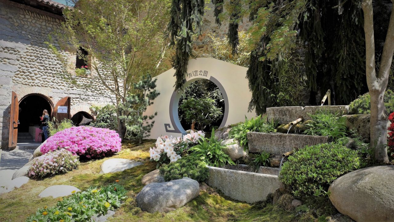 Candelo in fiore bonsai, economia cinese e cerimonia del te